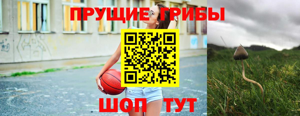 Ялуторовск  Псилоцибиновые грибы Psilocybe  Вход с VPN 
